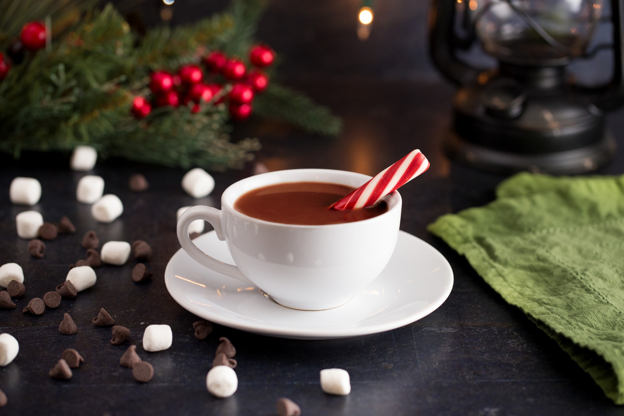 San Francisco Bay Area Holiday Cheer | Flavored Creamers | Coffee Flavors