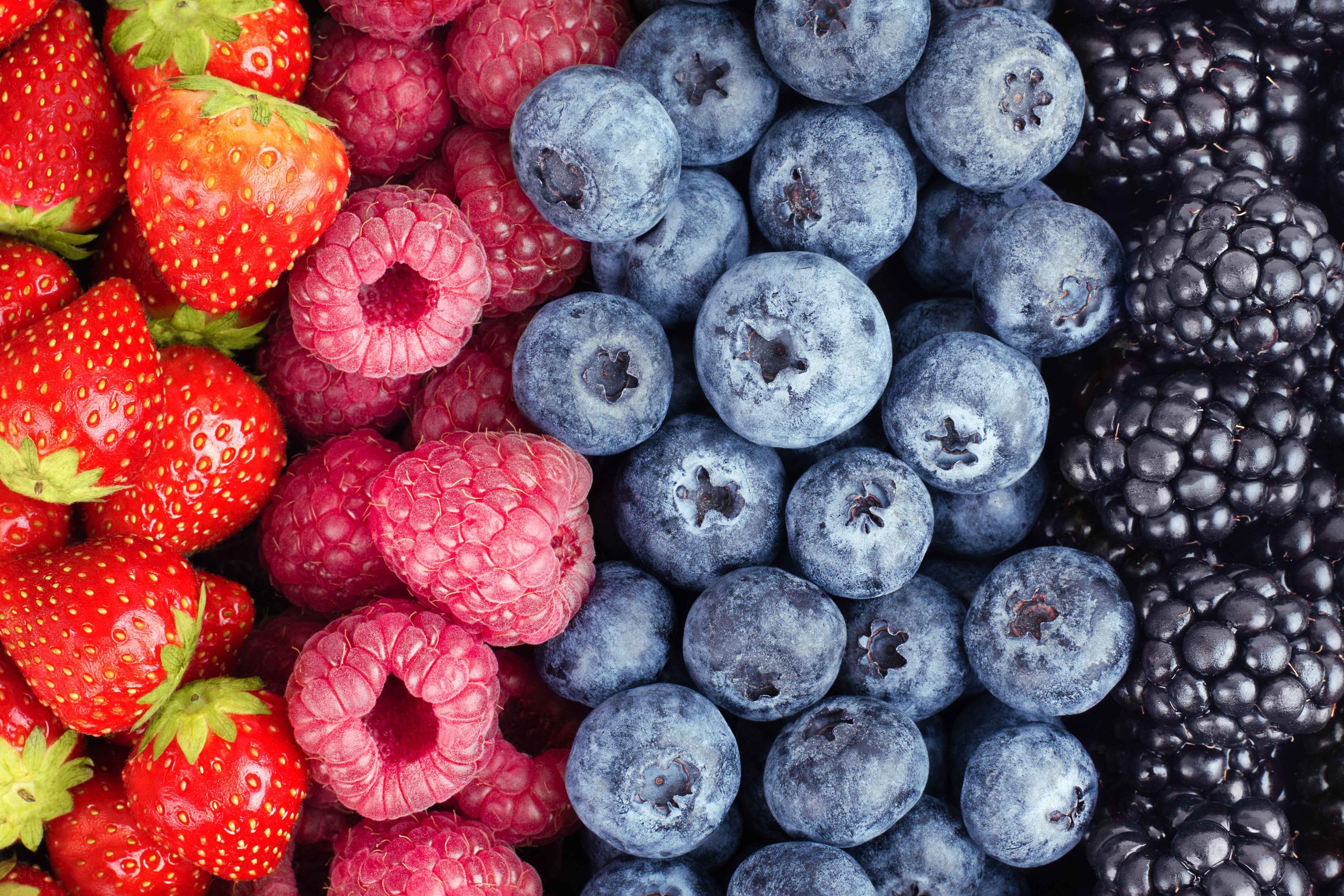 San Francisco Bay Area Healthy Vending | Food Snacks | Low Carb